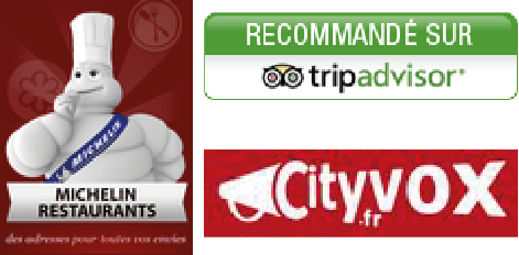 michelin cityvox